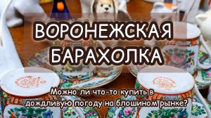 ВОРОНЕЖСКАЯ БАРАХОЛКА| МОЖНО ЛИ ЧТО-ТО КУПИТЬ В ДОЖДЛИВУЮ ПОГОДУ НА БЛОШИНОМ РЫНКЕ?🙄