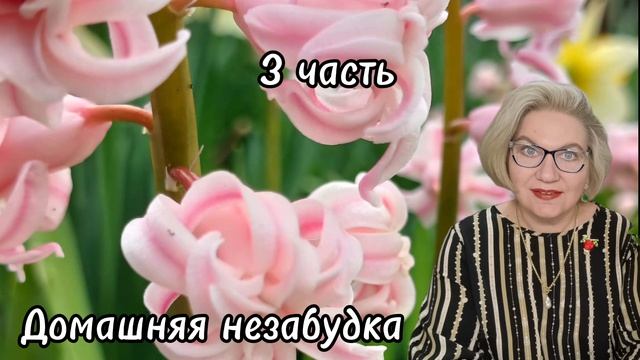 3 часть. 《С@пля, выпрыгни с 10 этажа❗️》- куча