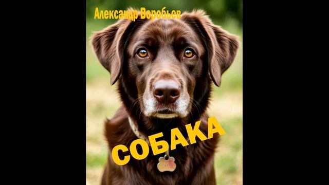 Воробьев-Собака