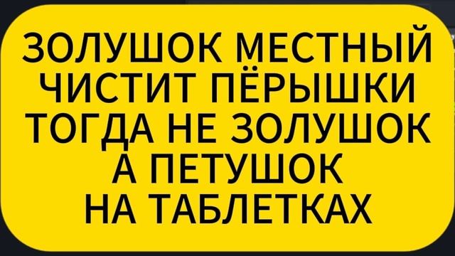 ДОМОСЕД ЗОЛУШОК