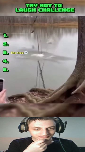 Её не выдержало даже Дерево...