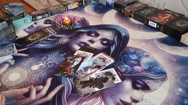 Доигрались... 🪤 🐀🐁‼️⚖️