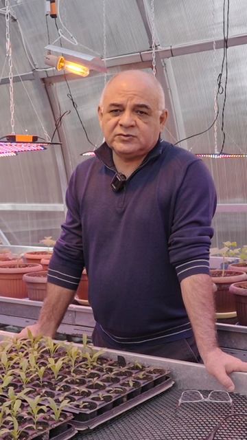 О ТОМАТАХ в ОТКРЫТОМ ГРУНТЕ 🍅Вопросы агроному: часть 3