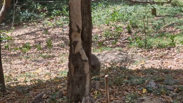 Дели, день 2