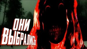 ОНИ ВЫБРАЛИСЬ ИЗ БЕЗДНЫ (обзор ARCADIA) ПУКСИ