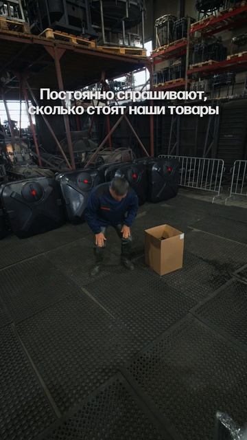 Никаких моральных ценностей! #юмор #мем #септик #сбо #погреб