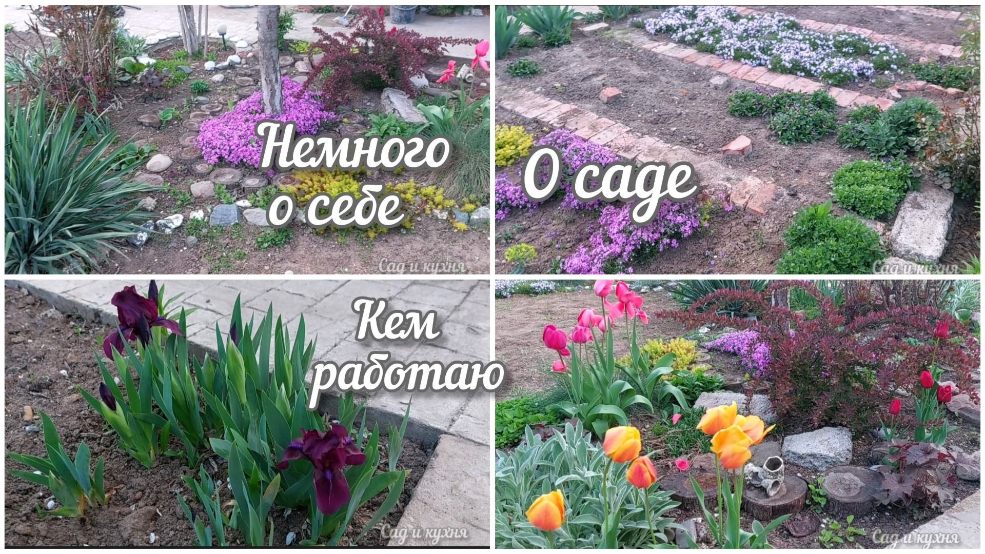Немного о себе и о своём саде. Апрель 2026 год.