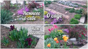 Немного о себе и о своём саде. Апрель 2026 год.