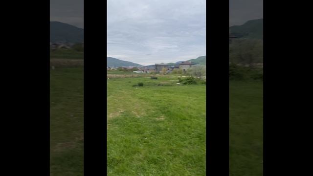 20-04-2026 Ивовый Пруд