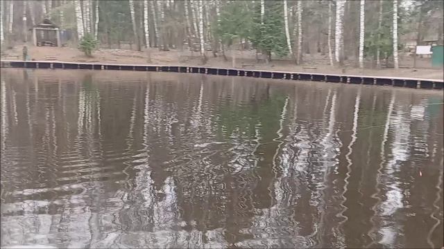 Обзор о рыбалке на спорт зоне. Клёвое место лосиный остров