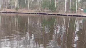 Обзор о рыбалке на спорт зоне. Клёвое место лосиный остров