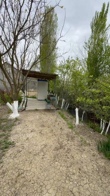 Дагестан сегодня