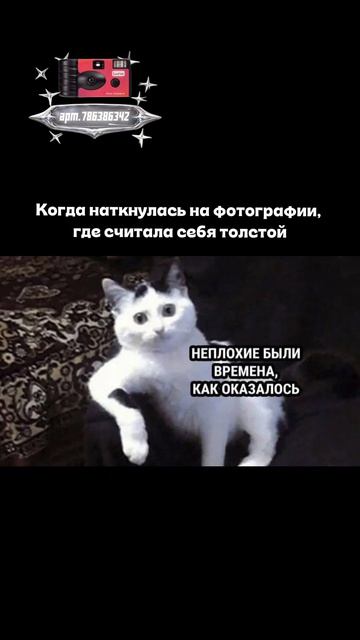 Плёночный фотоаппарат на 36 кадров (Артикул WB: #WW360391)💕