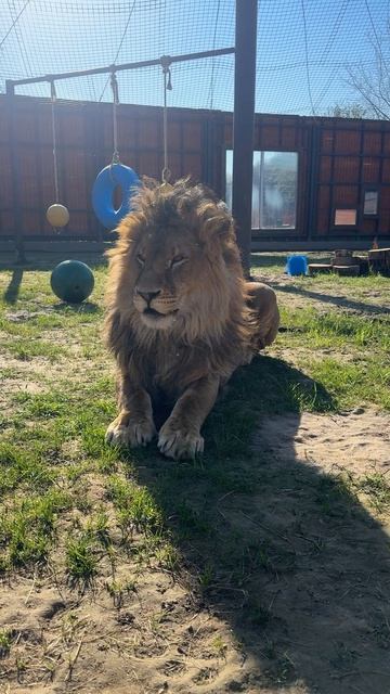 Будь здоров!