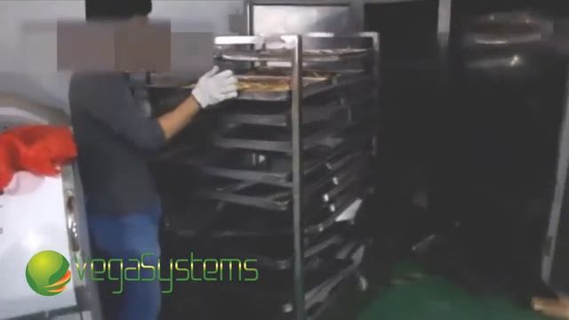 Шкаф для сушки овощей и фруктов Вега/Vega Dry System 240