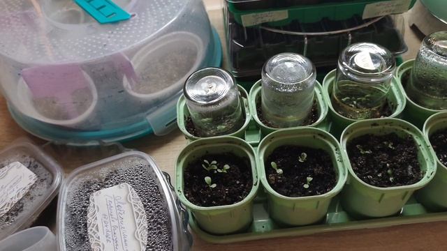 20 04.26🌸Снова радуюсь🎉и улыбаюсь ☺️