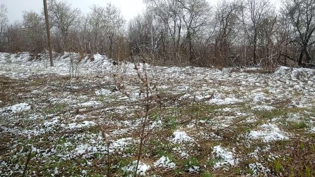 Весна ты где???????