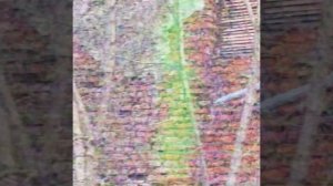 Находка и потеря | ВЧС хоррор "посёлок Стрелецкий"