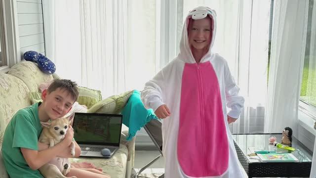 Лето 2025 сажаем клубнику в теплице / двери Mini Cooper