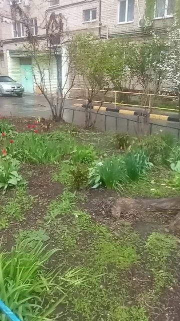 Первенцы новой весны!