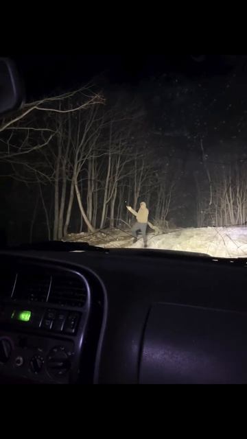 Mr.SOLOVEI | из жизни Абхазии