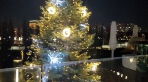 Парк Галицкого в огнях.# Красота неописуемая