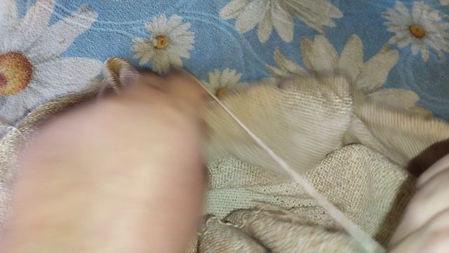 Закупка пряжи и новый процесс