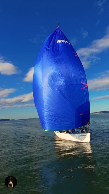 День регаты в Puget Sound — когда ветер наполняет паруса, а горизонт оживает яркими красками. ⛵