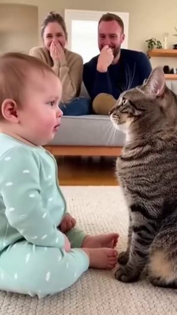 Научи меня Мяу