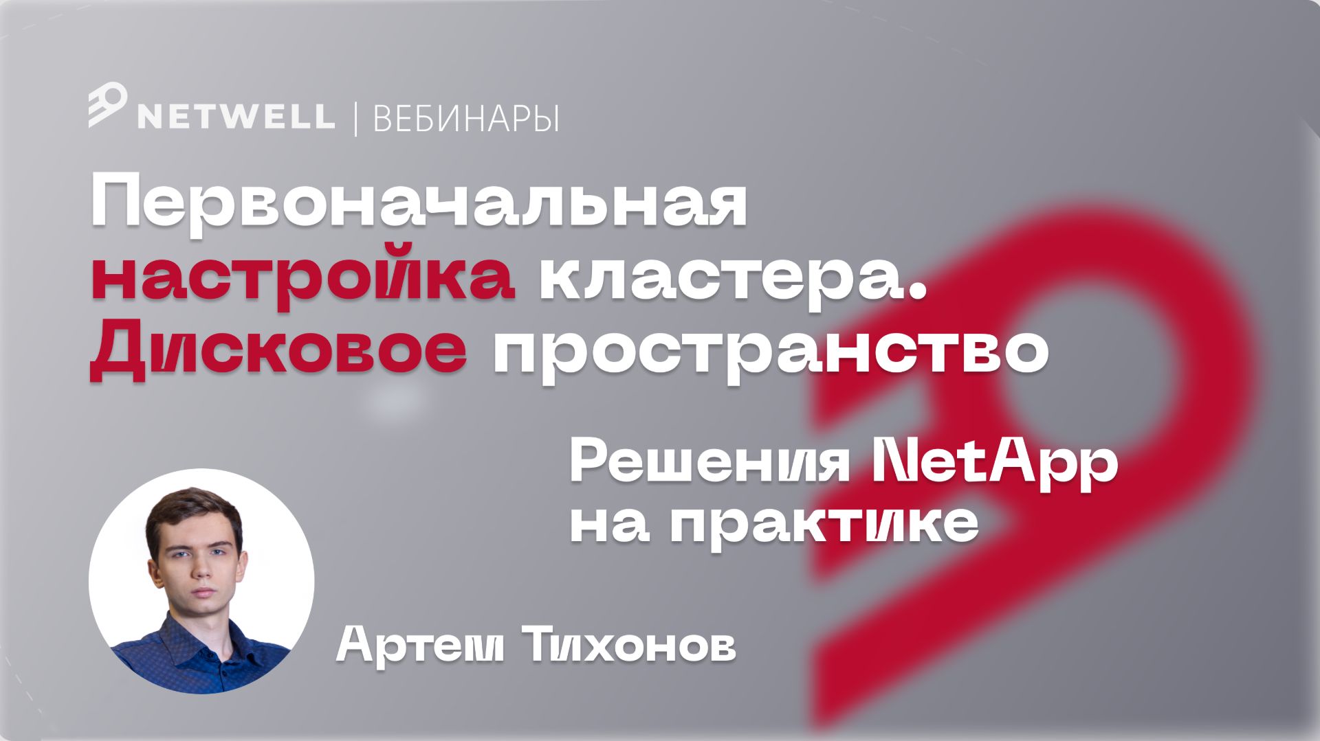 Первоначальная настройка кластера. Дисковое пространство // Решения NetApp на практике