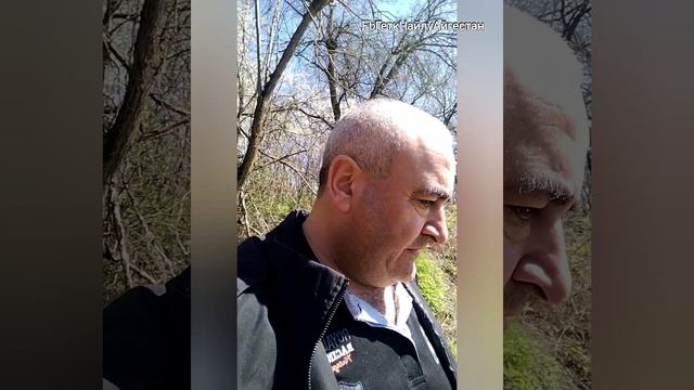 Չայլվեցիներով։ (Շարմաշուղ-, хмель.)