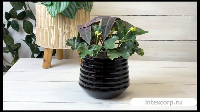 Искусственное растение в горшке УЮТНОЕ АССОРТИ, полиэстер, пластик, фиолетовые листья, 801881-1