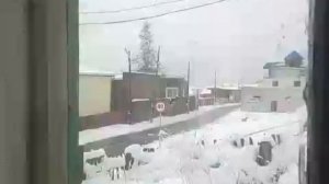 Упорно ждём тепла!