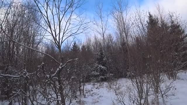 ЗАКРЫТИЕ ЗАГОННОЙ ОХОТЫ