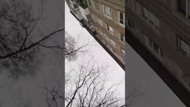 страшные истории