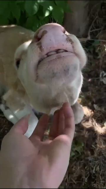 14 декабря 2024 г.