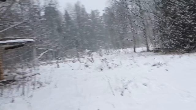 Заброшенный пионерский лагерь Президента РФ или злой охранник!