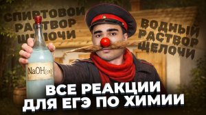 ВСЕ РЕАКЦИИ ДЛЯ ЕГЭ ПО ХИМИИ | Водный и спиртовой раствор щелочи | Богдан Чагин | Умскул