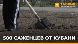 Абинский район Краснодарского края передал Новоалексеевке 500 саженцев яблонь и лип