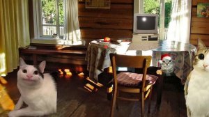 Котята 1 серия застава зовёт
 (новинка)