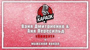 Ваня Дмитриенко & Аня Пересильд-Силуэт (КАРАОКЕ с мужским вокалом)
