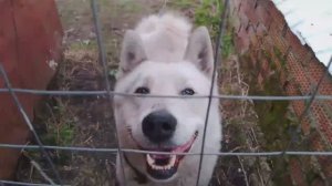 Я прошёл 100 метров от дома в поле.