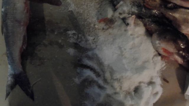 Как засолить Жереха Окуня