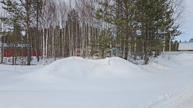 10529428 Лазурное