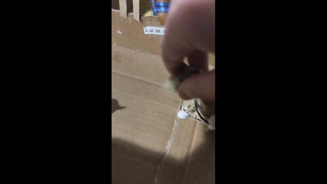 5 серия (1 сизон заключителный)лошадь Востока