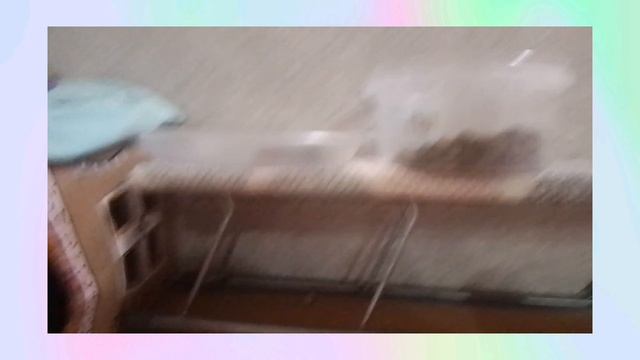 ❤️🔥💘ДОМИК КИСЫ🐱💜