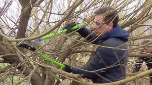 Жители Нижнего Новгорода вышли на субботник для уборки города после зимы