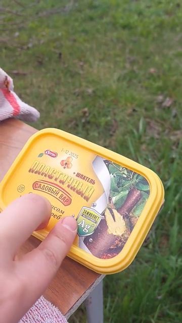 Лечение косточковых, персик, черешня, нектарин