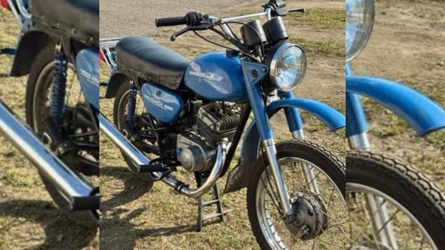 Платон и Лиза