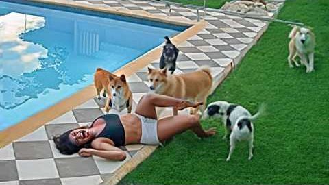 ПИТОМЦЫ ПРОТИВ ХОЗЯЕВ! КТО В ДОМЕ ГЛАВНЫЙ